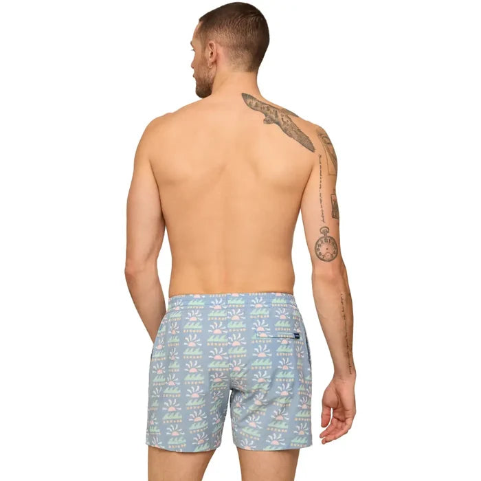Chubbies Men's Easygoers LIned Swim Trunks - 5.5" inseam