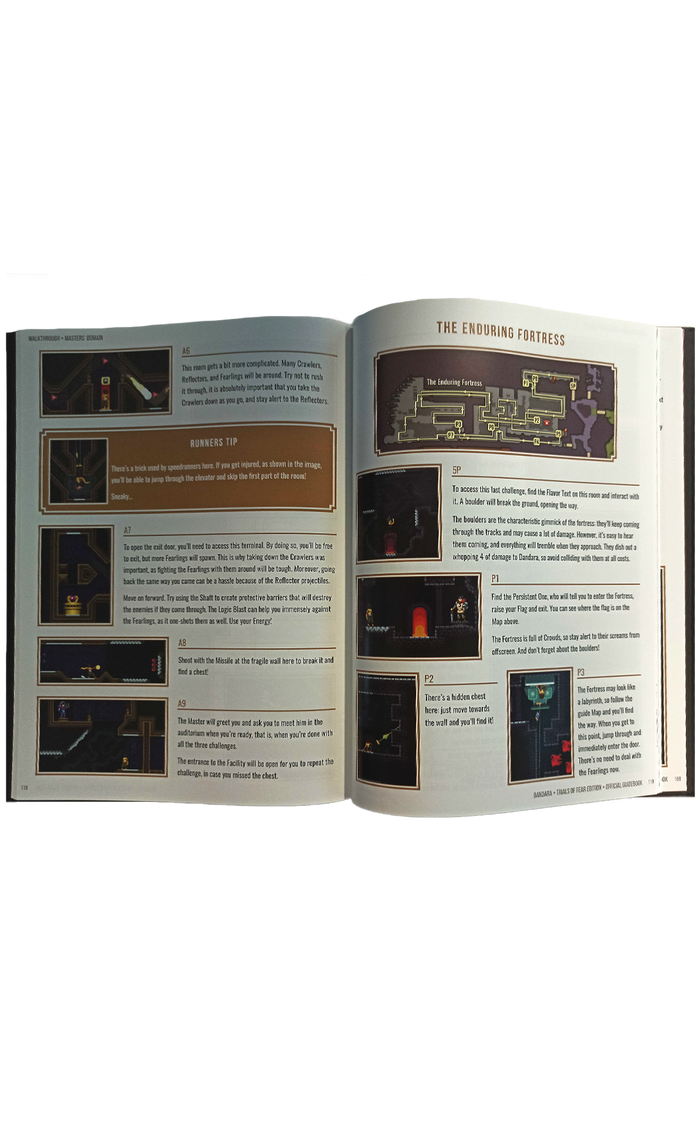 Dandara: Trials of Fear Edition Artbook