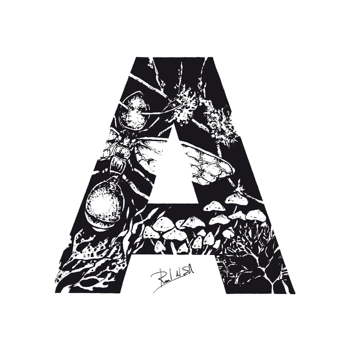 A - ADH - AROMA DE HORMIGUERO