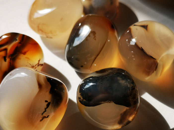 Earthstore® Agate, Dendritic - Tumblestone