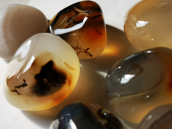 Earthstore® Agate, Dendritic - Tumblestone