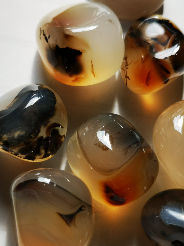 Earthstore® Agate, Dendritic - Tumblestone