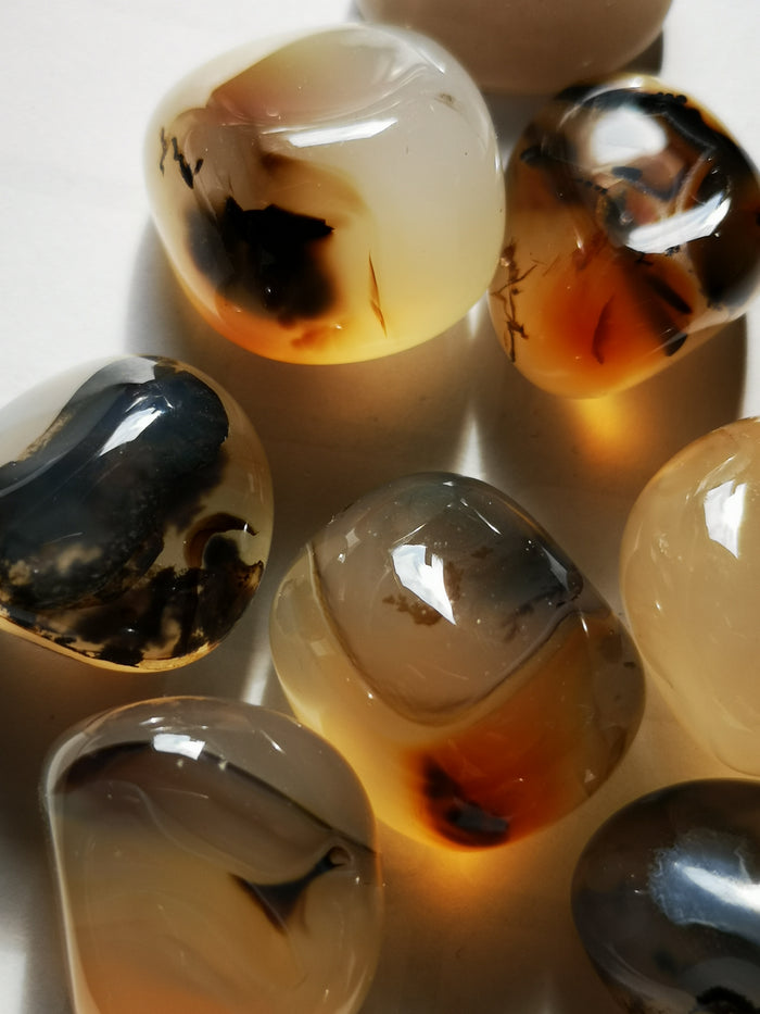 Earthstore® Agate, Dendritic - Tumblestone
