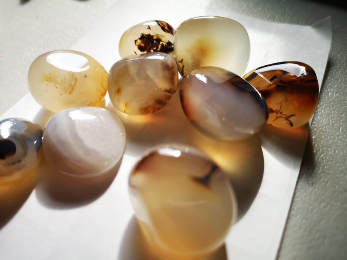 Earthstore® Agate, Dendritic - Tumblestone