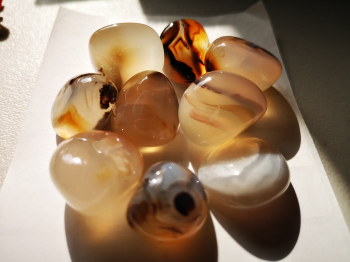 Earthstore® Agate, Dendritic - Tumblestone