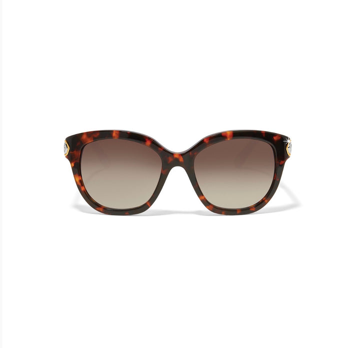 Brighton - Intrigue Tortoise Sunglasses