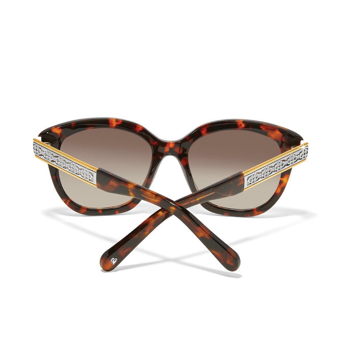 Brighton - Intrigue Tortoise Sunglasses