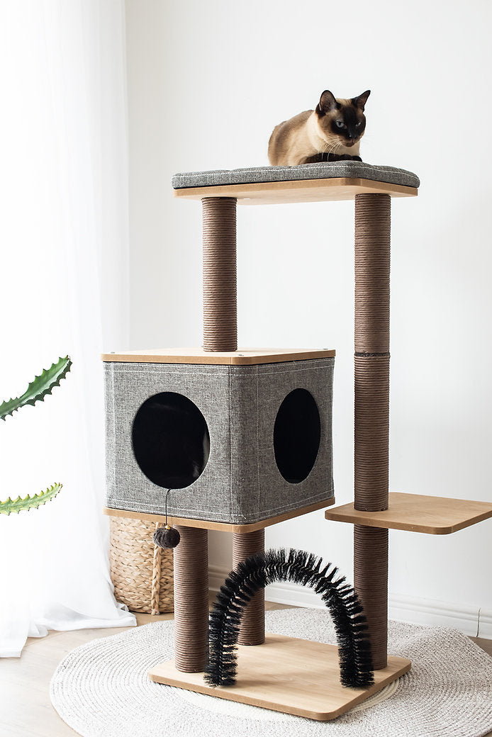 CAT-ACTIVITY-TREE-ELEVATE