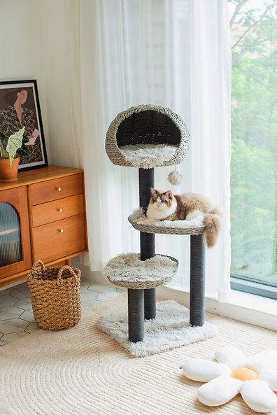 CAT-ACTIVITY-TREE-TUNDRA