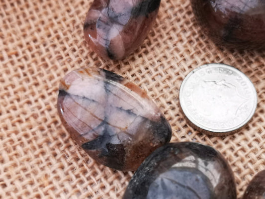 Earthstore® Chiastolite - Tumblestone (Cross Stone) - (Large) (ARIZONA)