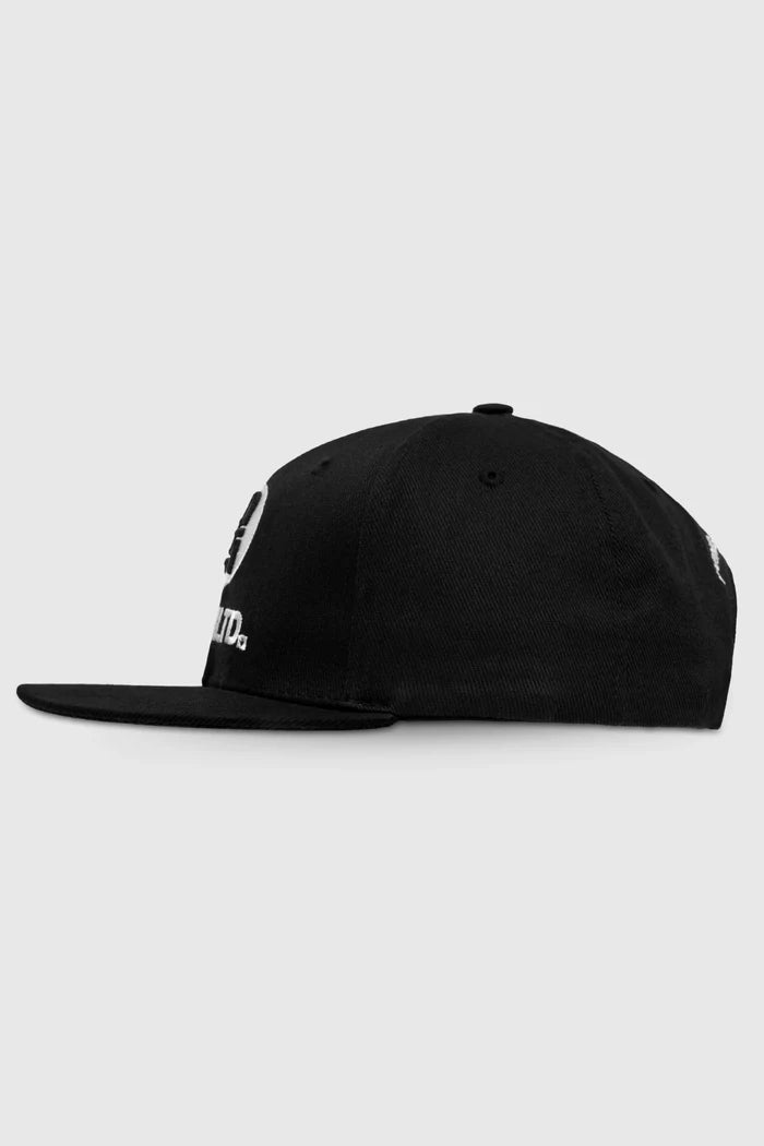 Classic Snapback Hats - Back