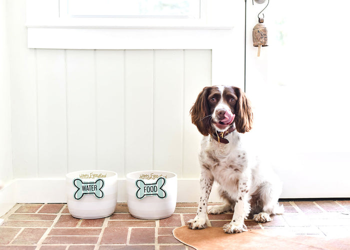 COTON COLORS - Bone Attachment