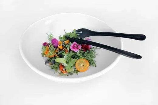 Eco Fork Black