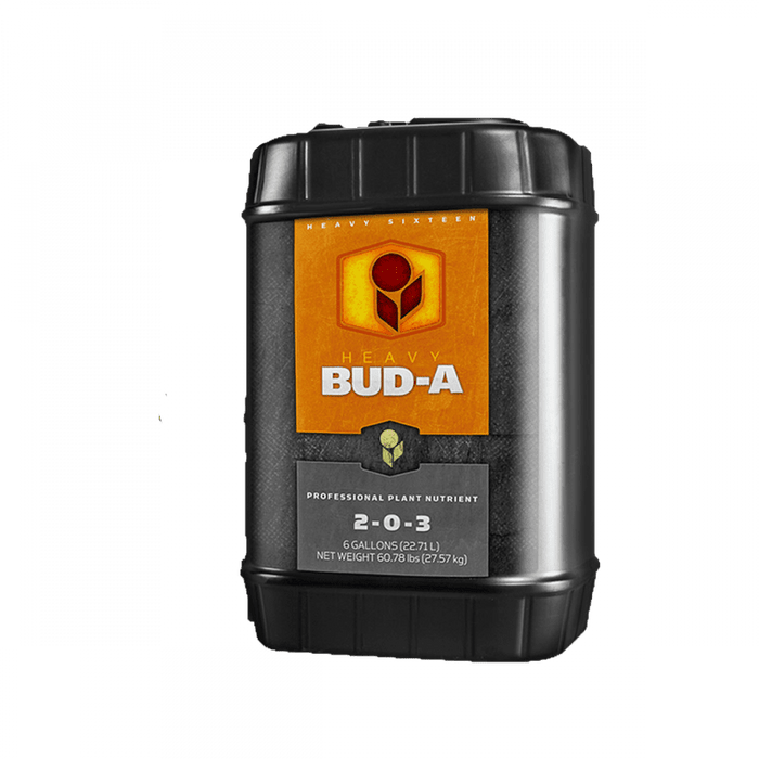 Heavy 16 Bud A 6 Gallon