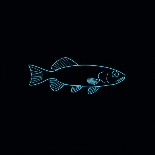 Longfin Leopard Danio