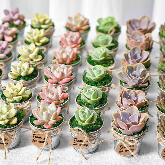 Mini Classic Metal Bucket Succulent Favors (Tag Custom Supported)