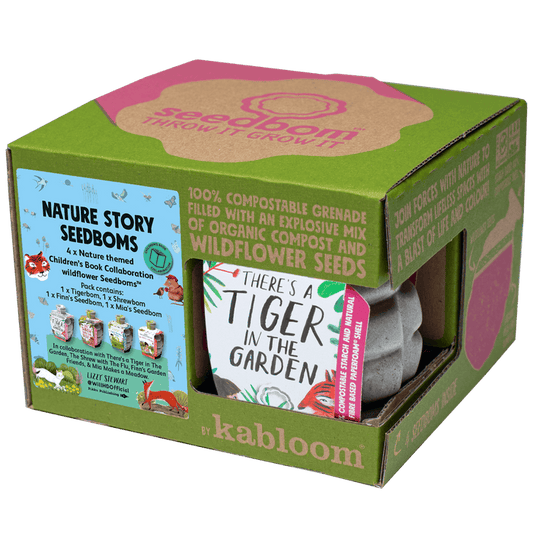 Nature Story Seedbom Gift Box