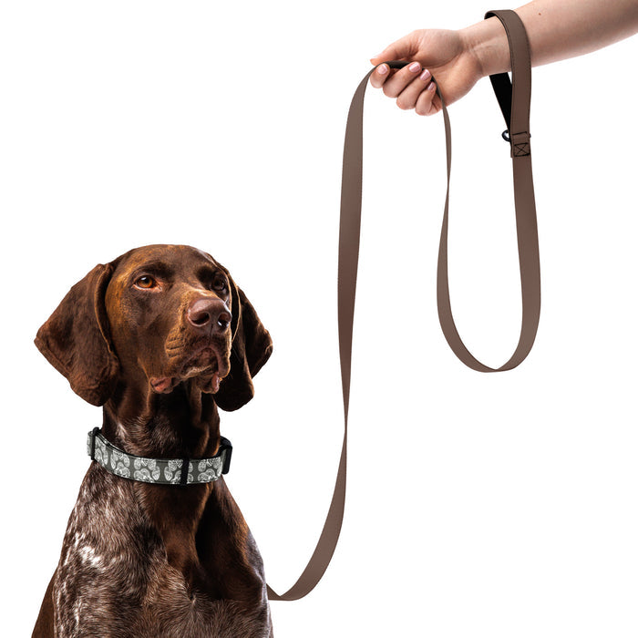Paw Print Pet Collar Gray
