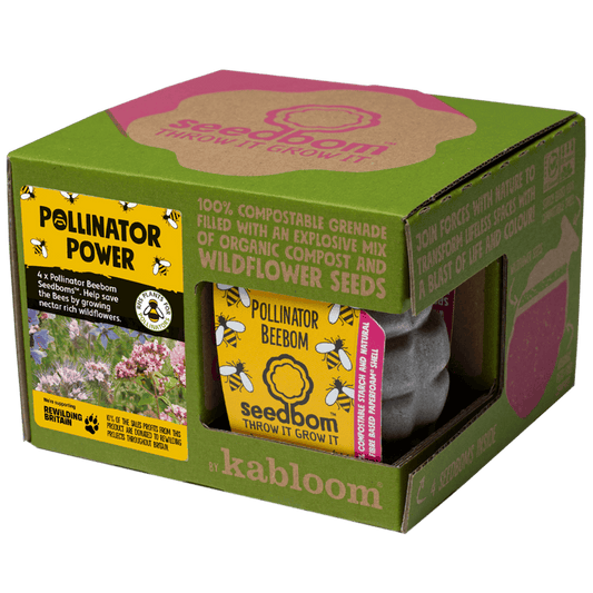 Pollinator Power Seedbom Gift Box