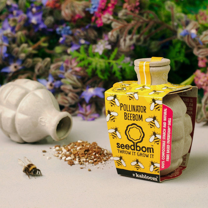 Pollinator Power Seedbom Gift Box