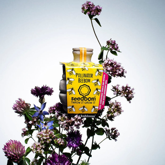Pollinator Power Seedbom Gift Box