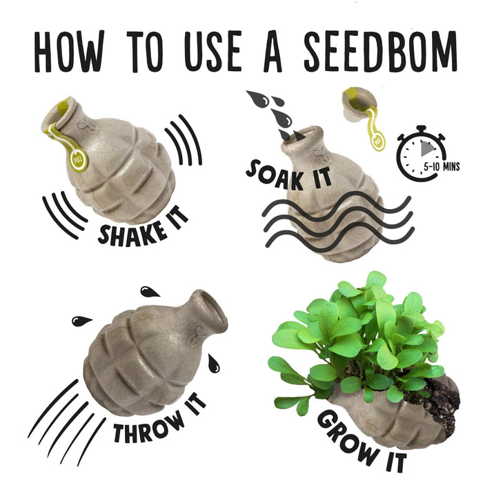 Pollinator Power Seedbom Gift Box