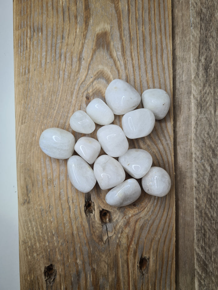 Earthstore® Rainbow Moonstone - Tumblestone (Large)