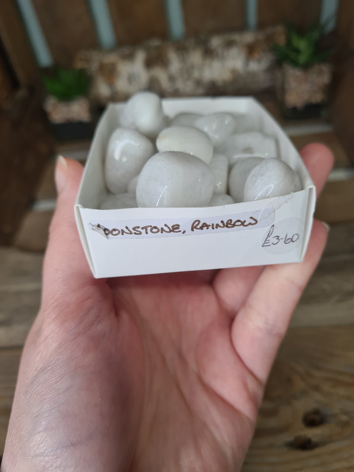 Earthstore® Rainbow Moonstone - Tumblestone (Large)