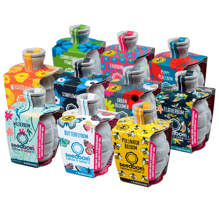 Seedbom Multipack Gift Set x 10 (Free UK delivery)