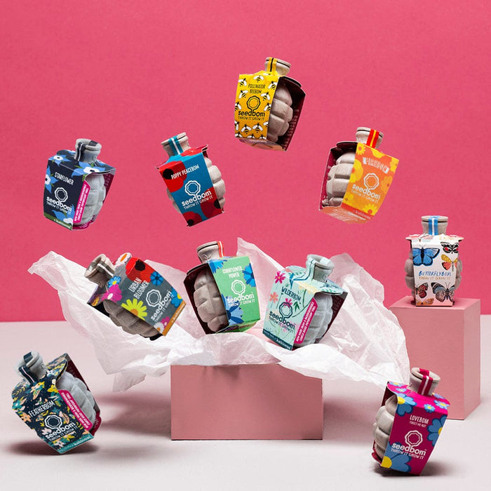 Seedbom Multipack Gift Set x 10 (Free UK delivery)