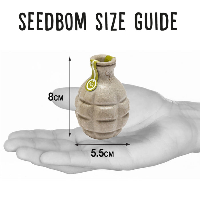 Seedbom Multipack Gift Set x 10 (Free UK delivery)