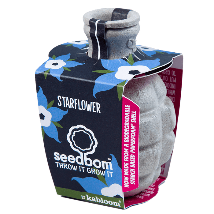 Starflower Seedbom