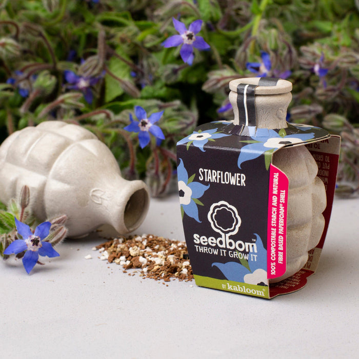 Starflower Seedbom