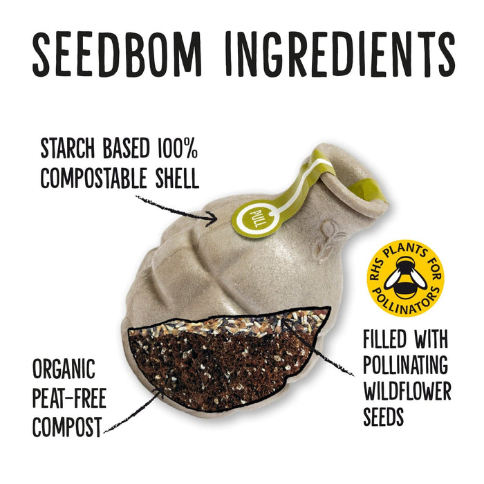 Starflower Seedbom