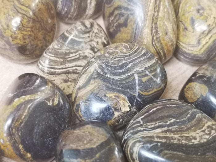 Earthstore® Stromalite - Tumblestone