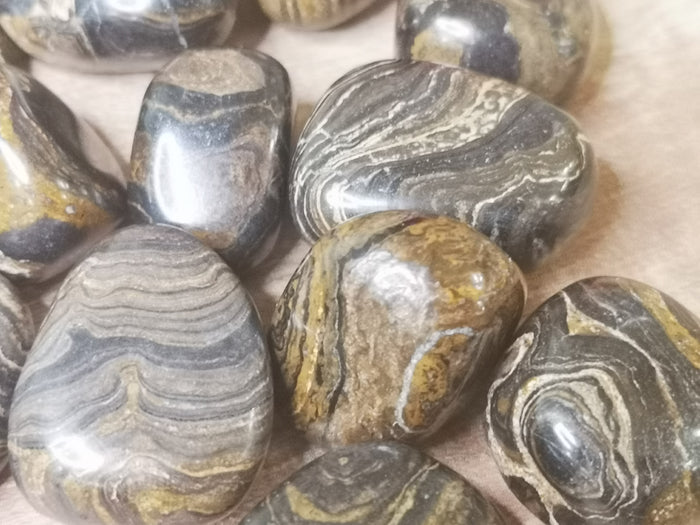 Earthstore® Stromalite - Tumblestone