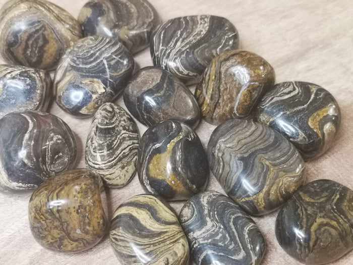 Earthstore® Stromalite - Tumblestone
