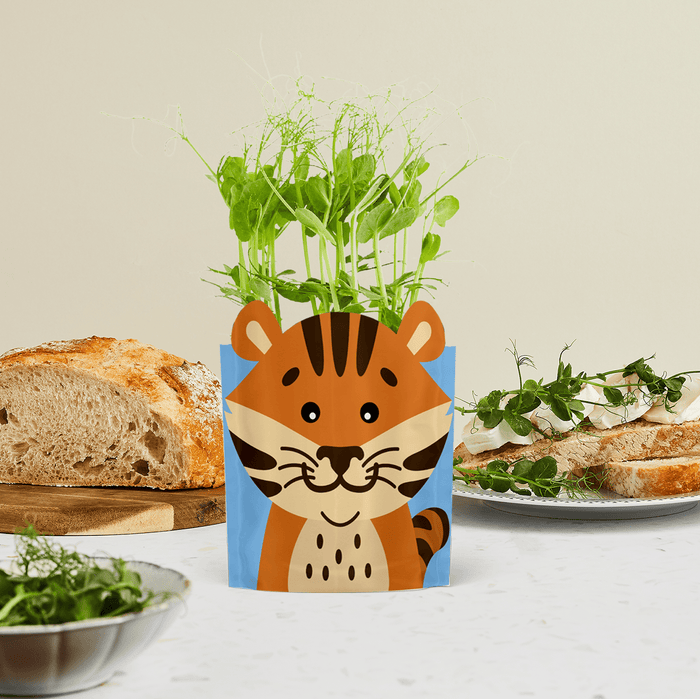 'Toby' Tiger Growable Microgreen Greetings Card