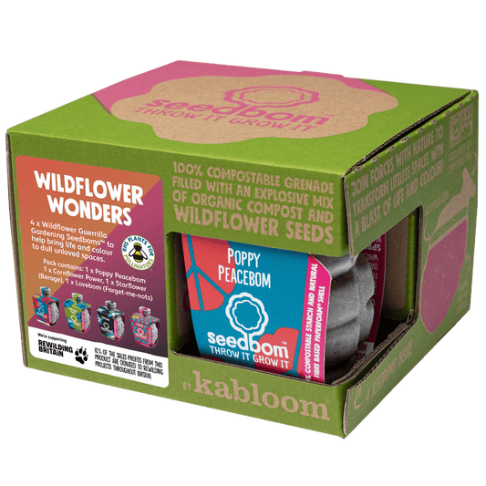 Wildflower Wonders Seedbom Gift Box
